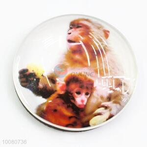 Best Selling Monkey Cheap Glass Fridge Magnet