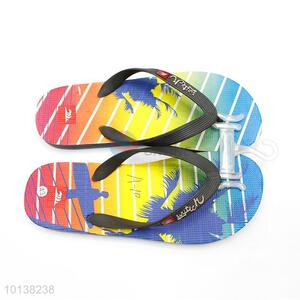 Best Sale Cheap Price Colorful Printing Slipper/Flip Flops