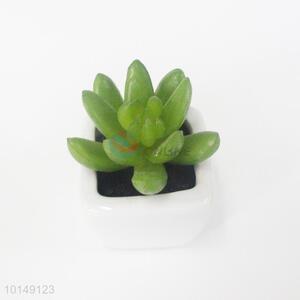 Made in China indoor artificial plants