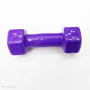 Mini 2.5kg Women Dumbbell for Wholesale