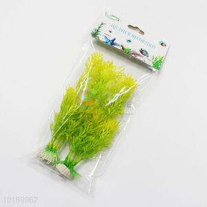 Live Aquatic Plants <em>Aquarium</em> <em>Accessories</em>