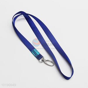 Blue Nylon Webbing Sling with Carabine