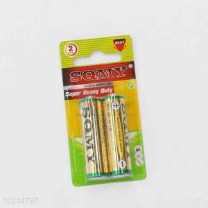 China factory price best fashion 2pcs batteries