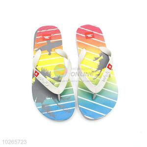 Durable Colorful Summer Slippers for Sale