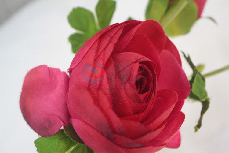 Good quality Lovely rose