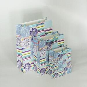 Custom Colorful Paper Bag Gift Bag Hand Bag