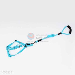 Blue Pet Leash/Dog Collars Leashes