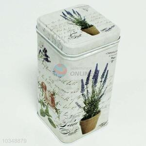 Wholesale Colorful Iron Box Storage Jar/Can