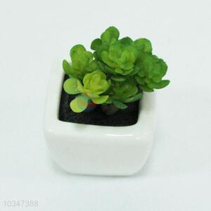 Fake succulent artificial plant with pot