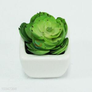 Home decoration plastic succulent plants artificial plants