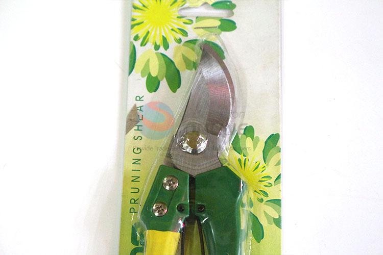 Lovely colorful pruning shears