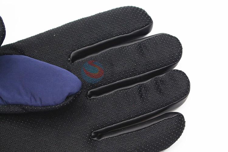 Popular low price men winter warm gloves outdoor gloves