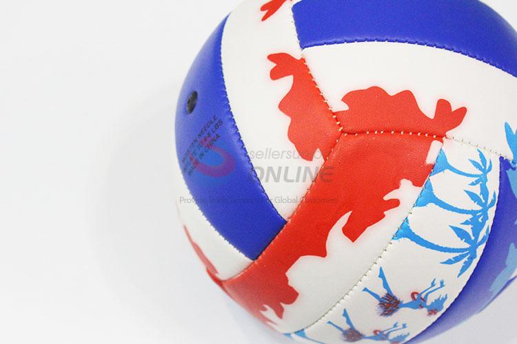 Nice Design PVC Football for Sale