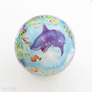 Cartoon Dolphin Ball Toys Inflatable Beach Ball Kids PVC Balls