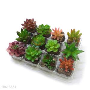 Low price new arrival artificial succulent plant