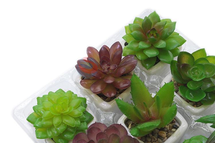 Best selling promotional artificial succulent plant