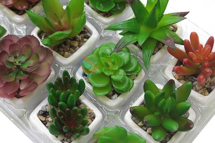 Best selling promotional artificial succulent plant