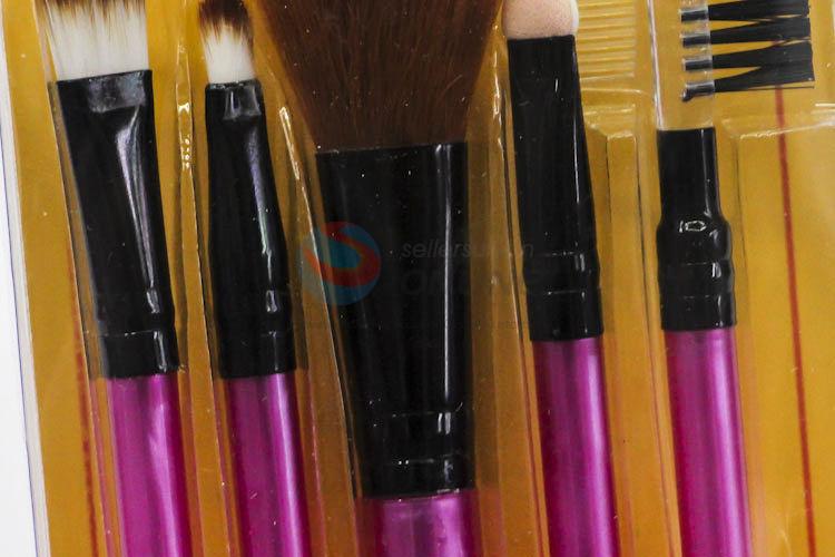 Utility 5pcs Cosmetic Brushes Set