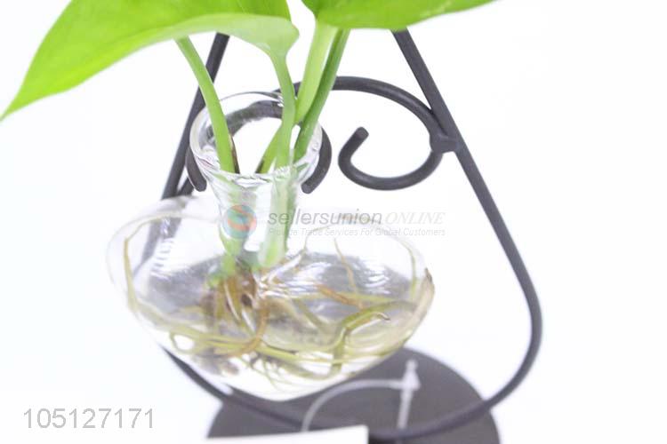 Fashion Style Cute Creative Glass Vase Hydroponic Bottle