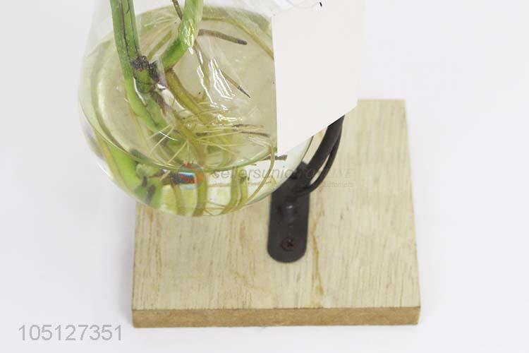 Simple Style Transparent Hydroponic Containers Home Decor Ornament Plant Vase