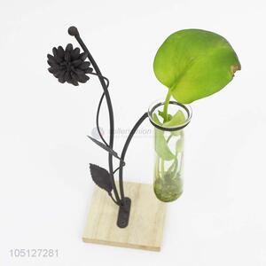 Bottom Prices Glass Bottle Iron Hydroponics for Home Decor