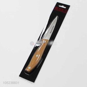 China Manufacturer Stainless Steel Fruit Knife