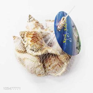 Wholesale Fashion Shell/Conch Crafts For Decoration