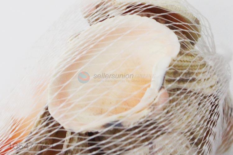 Popular Sea Shell Best Decorative Shell Craft