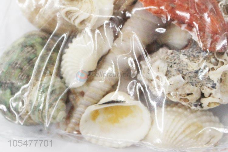 Wholesale Decorative Shell Craft Best Ocean Shell