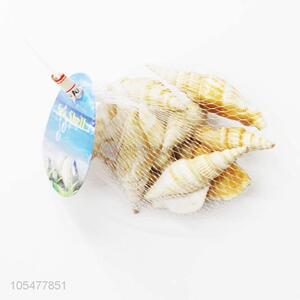 Good Sale Natural Sea Shell Beautiful Shell Craft Set