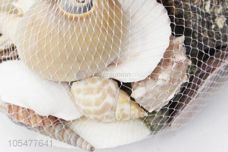 Hot Selling Natural Shell Best Decorative Craft