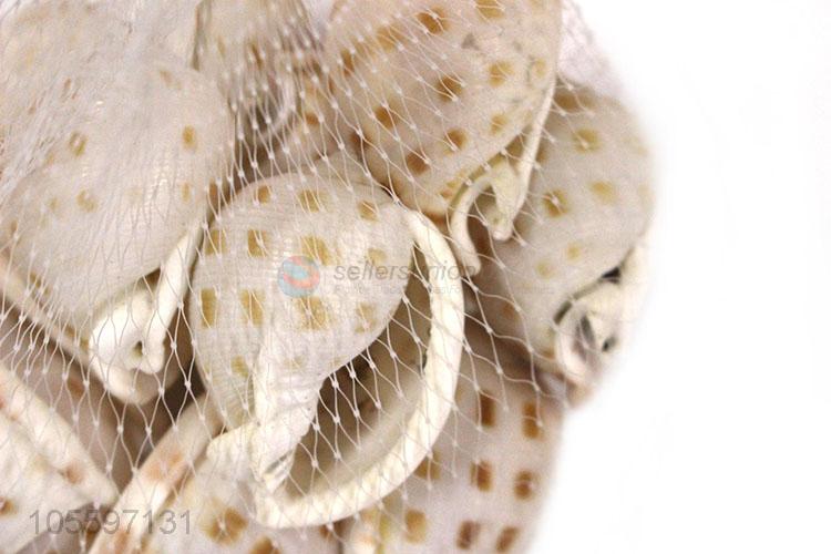 Fashion Natural Conch Best Decorative Shell Craft