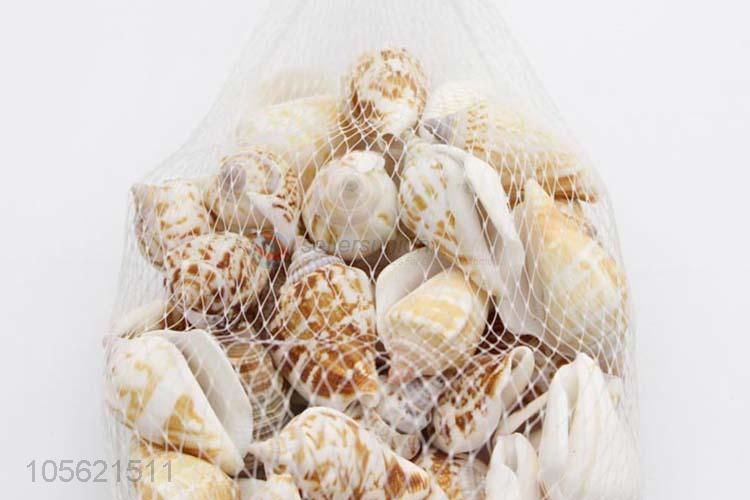 Factory Price Aquarium Decoration Conch Shells