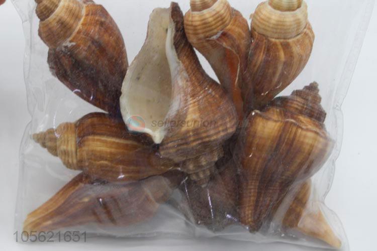 Made In China Wholesale Aquarium Decoration Conch Shells