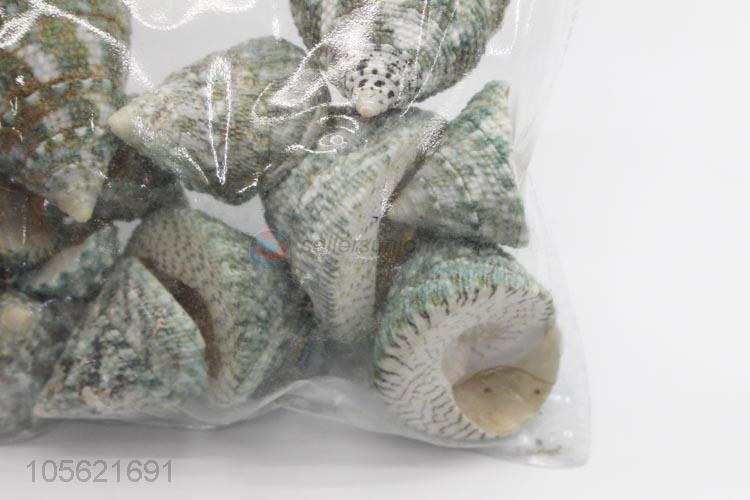 Latest Design Beach Mixed Shells Natural Shells Craft Aquarium Decoration