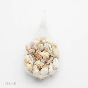 Factory Price <em>Aquarium</em> Decoration Conch Shells