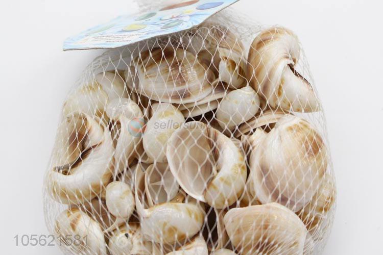 Best Sale Natural Conch Shells Aquarium Decoration