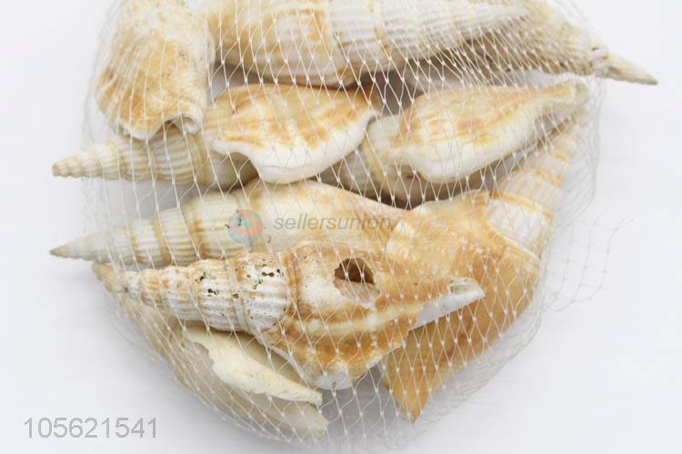 High Sales Marine Wedding Decor Shells Craft