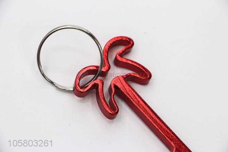 Very Popular Bag Accessories Aluminum Key Chain