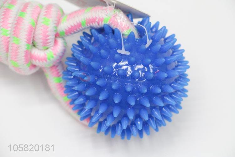 Wholesale Pet Training Toy Best Dog Toy