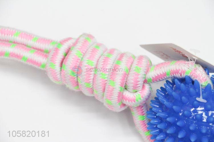 Wholesale Pet Training Toy Best Dog Toy