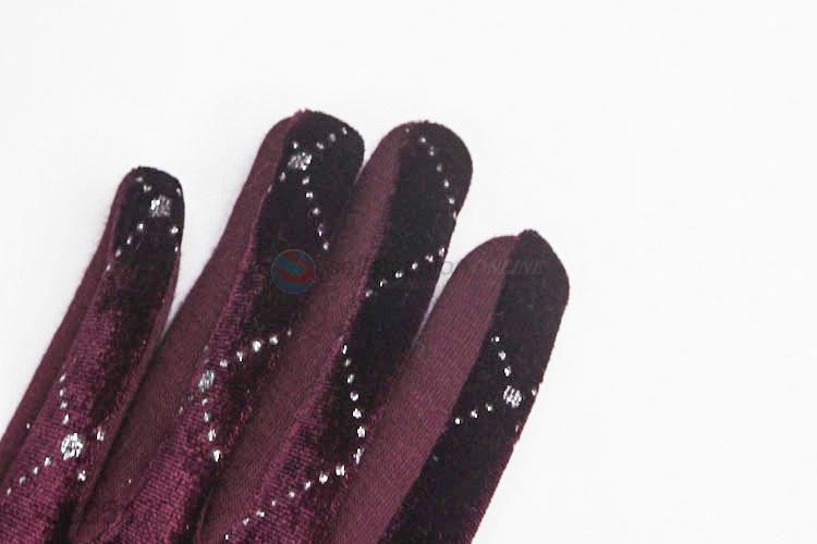 Winter Pleuche Windproof Gloves Touch Screen Gloves For Women