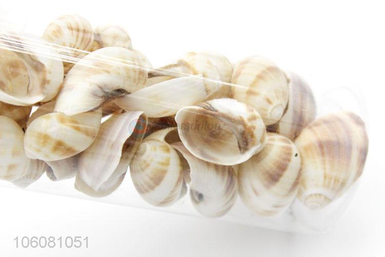 High sales natural sea shell best shell conch crafts