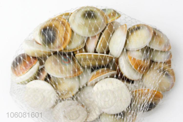 Cheap natural sun shell sea shell stone fossils for home decoration