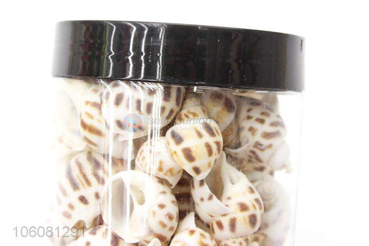 Good quality natural sea shell fashion decorative craft