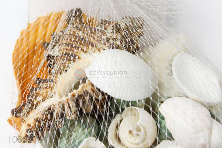 Cheap price natural shell decorative crushed sea shell