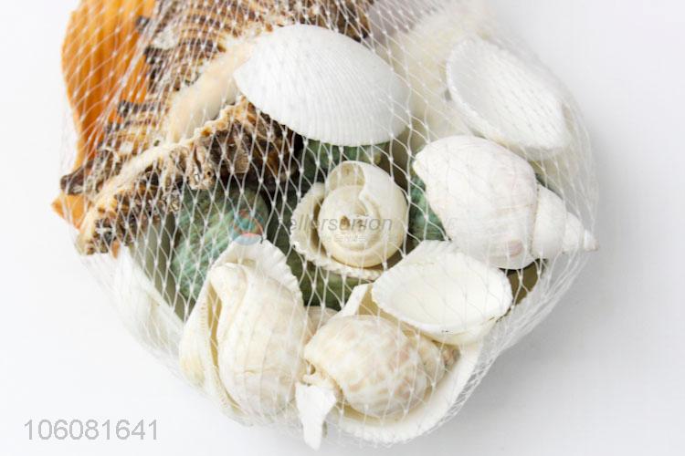 Cheap price natural shell decorative crushed sea shell