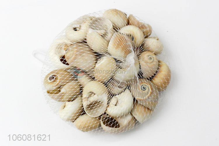 Hot selling natural sea shells for home decoration