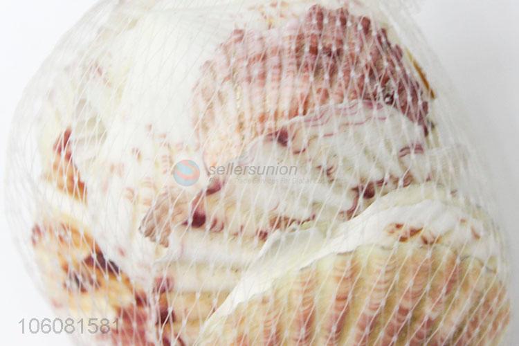 New popular sea shell best decorative shell craft