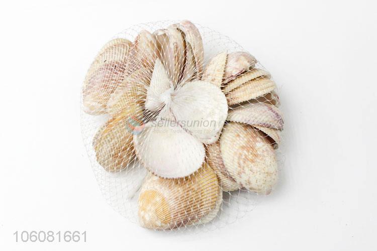 Promotion sea shells landscape aquarium decorative